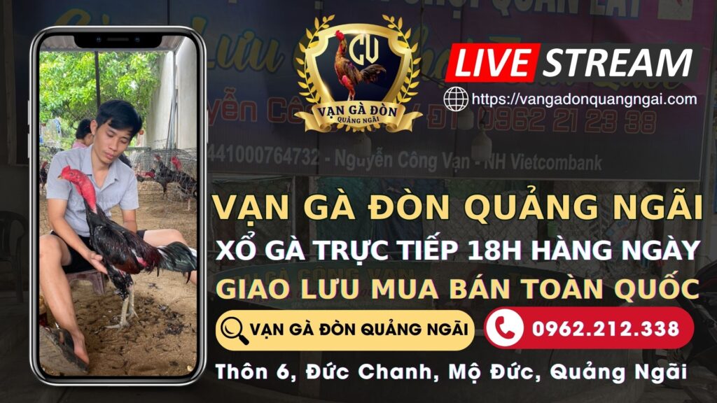 Video 20:53 ngày 17/8 – TRẠI GÀ CÔNG VẠN – QUẢNG NGÃI