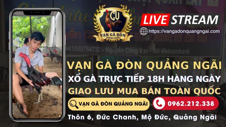 Video 20:53 ngày 17/8 – TRẠI GÀ CÔNG VẠN – QUẢNG NGÃI